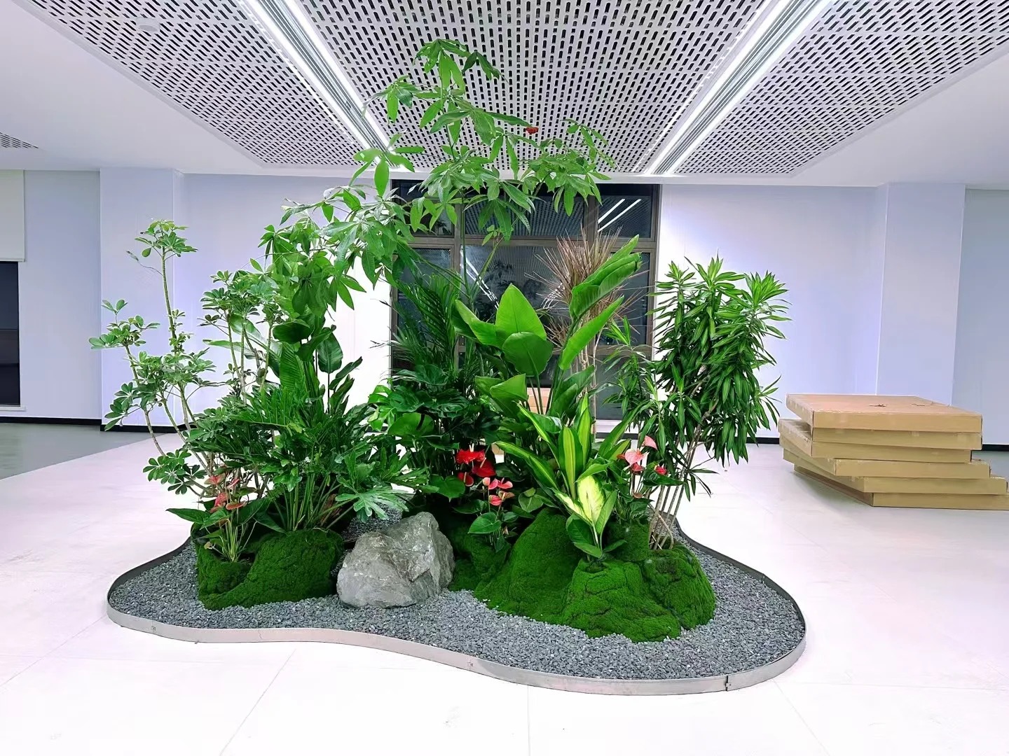 专业花木出租慈溪，打造专属绿色空间