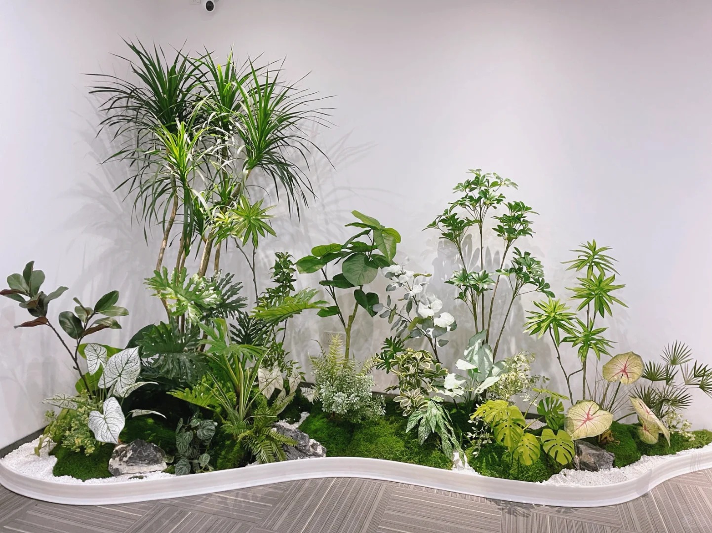 专业花木出租慈溪，打造专属绿色空间